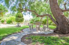 Villa in Pollensa / Pollença - La Sort Llarga: Landhaus mit privatem Pool